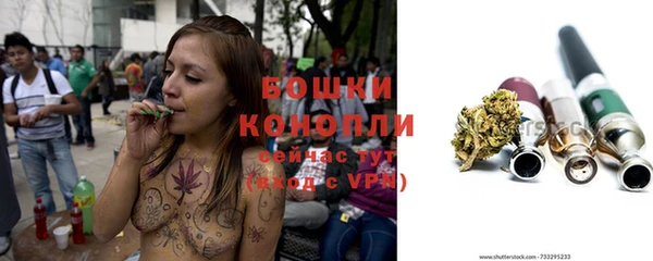 тгк Михайлов