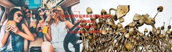 тгк Михайлов