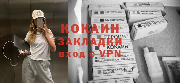 дживик Михайловск