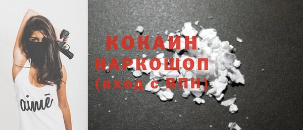 тгк Михайлов